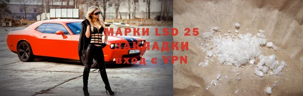 стаф Богданович