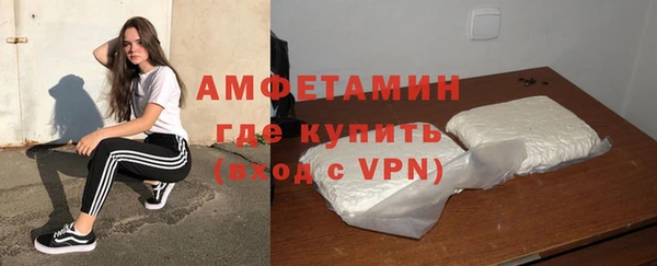 стаф Богданович
