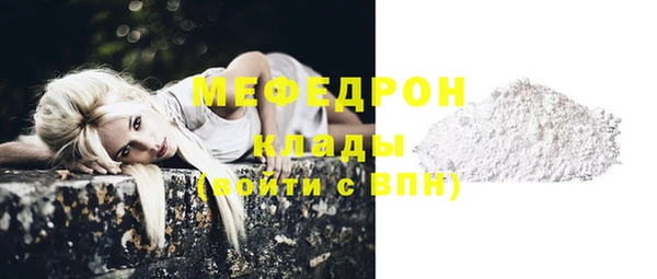 стаф Богданович