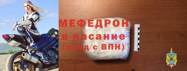стаф Богданович