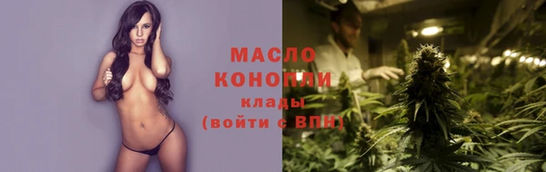 стаф Богданович