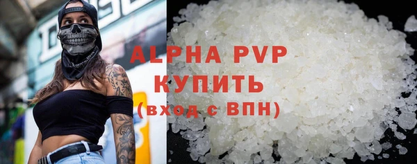стаф Богданович