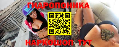 прущие грибы Нижний Тагил
