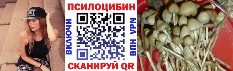 Псилоцибиновые грибы ЛСД Северск