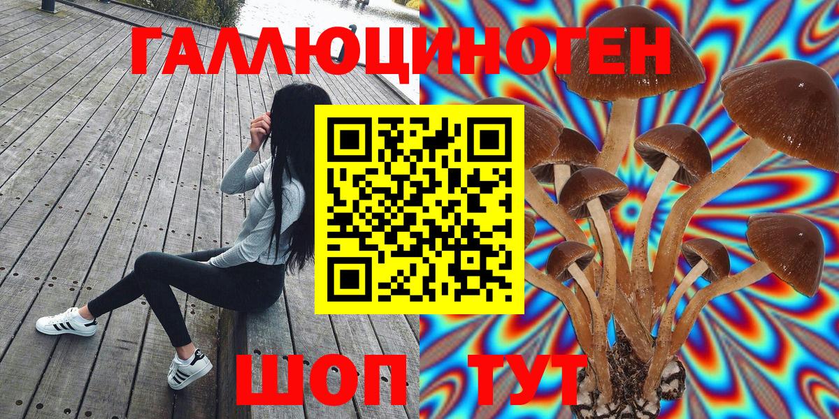 Галлюциногенные грибы Magic Shrooms  Вход с VPN  Галлюциногенные грибы Magic Shrooms  Северск 